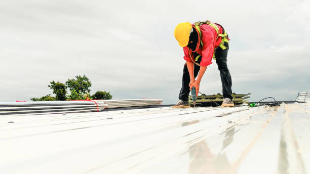 Best Emergency Roof Repair Services  in Danville, AR